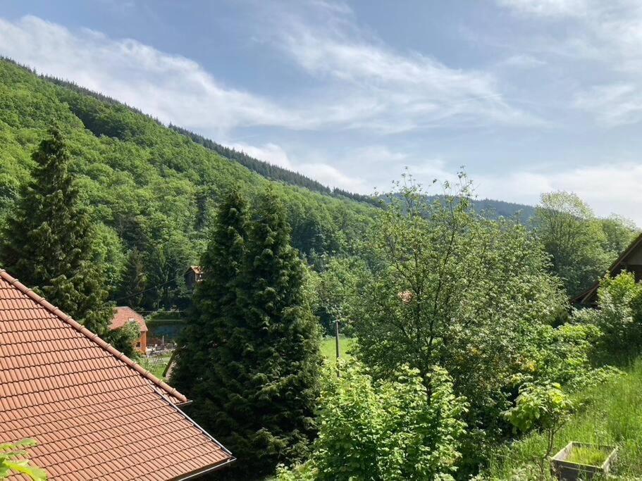 La Belle Vallee Lalaye Kültér fotó